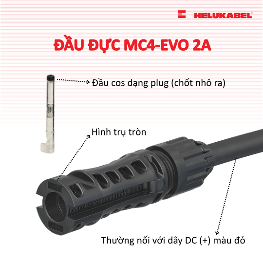Phân biệt đầu đực và đầu cái MC4-Evo 2A 2