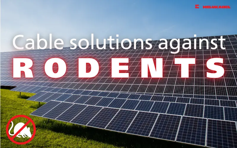 Giải pháp chống động vật gặm nhấm ở dây cáp DC và cáp quang