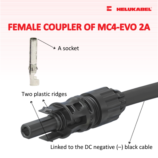 How to differentiate MC4-Evo 2A’s male and female couplers 3 How to differentiate MC4-Evo 2A’s male and female couplers 3