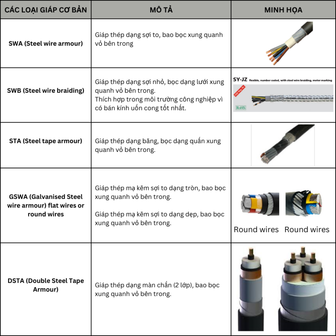 Các loại giáp cơ bản